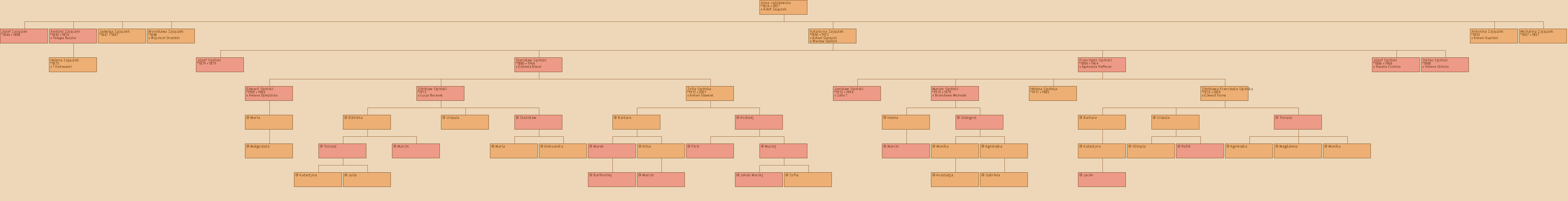 Drzewo genealogiczne - Anna Jadewska