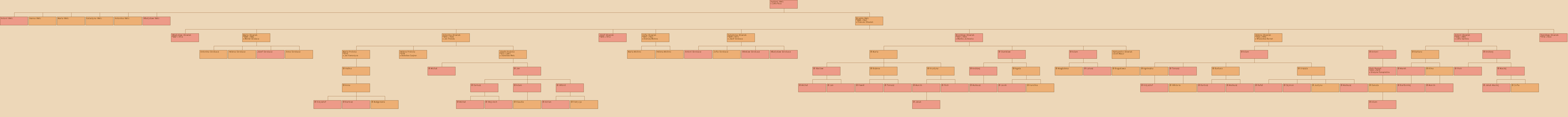 Drzewo genealogiczne - Andrzej Welc