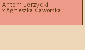 Drzewo genealogiczne - Antoni Jerzycki