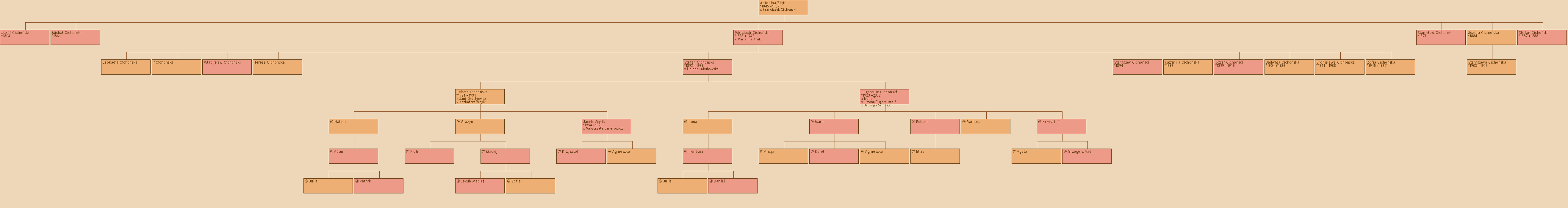 Drzewo genealogiczne - Antonina Zitek