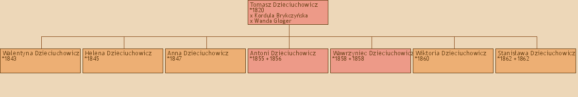 Drzewo genealogiczne - Tomasz Dzieciuchowicz