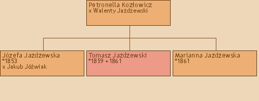 Drzewo genealogiczne - Petronella Kozowicz