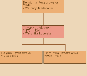 Drzewo genealogiczne - Domicilla Koczorowska