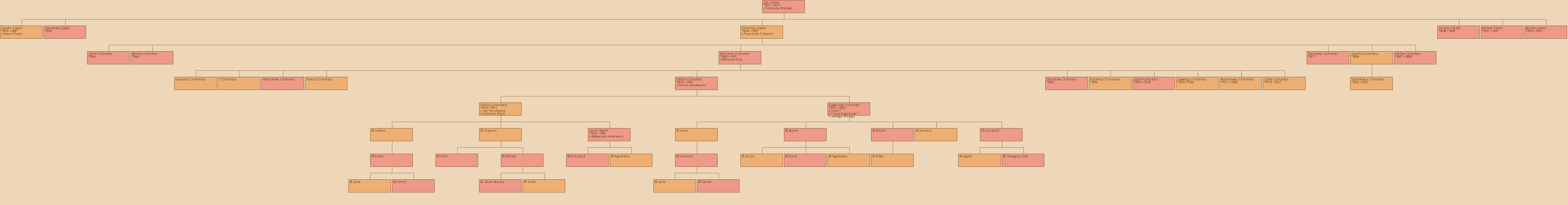 Drzewo genealogiczne - Jan Zitek