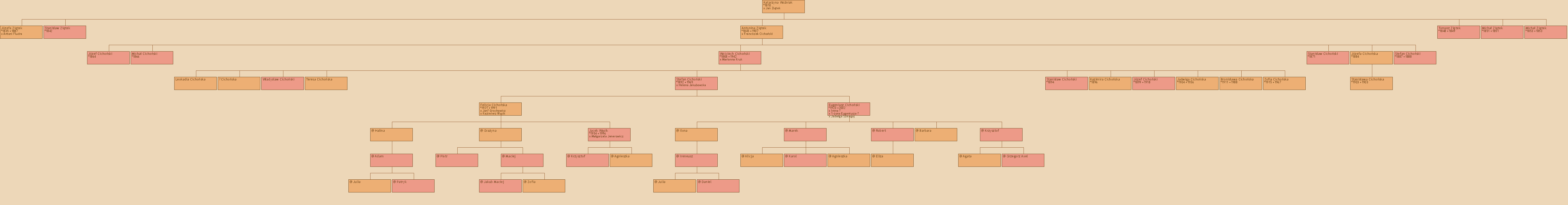 Drzewo genealogiczne - Katarzyna Woniak