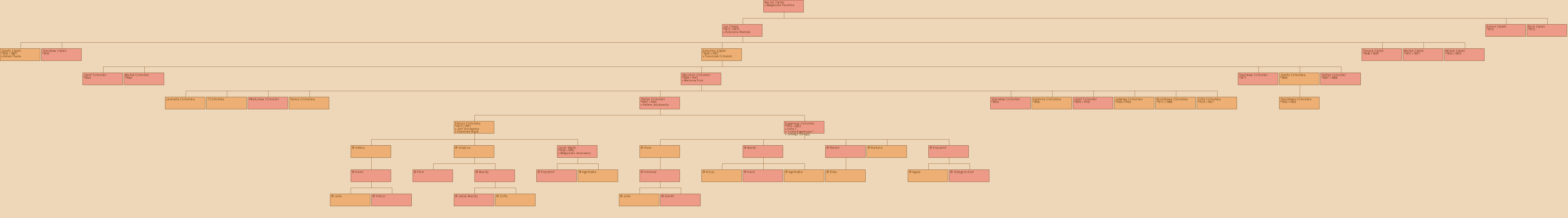 Drzewo genealogiczne - Maciej Zitek