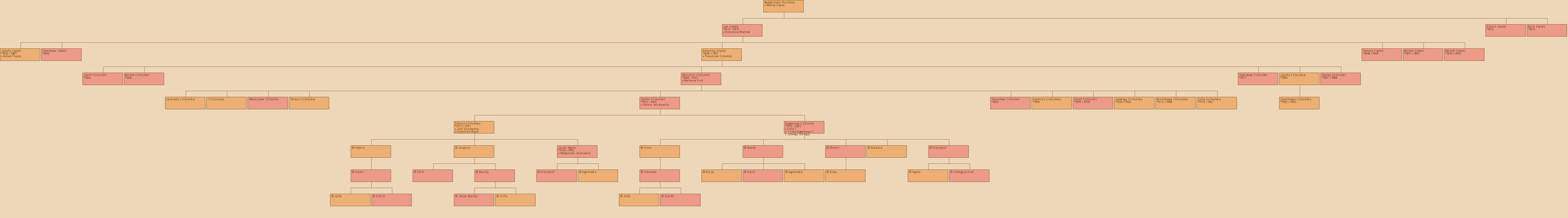 Drzewo genealogiczne - Magorzata Pluciska