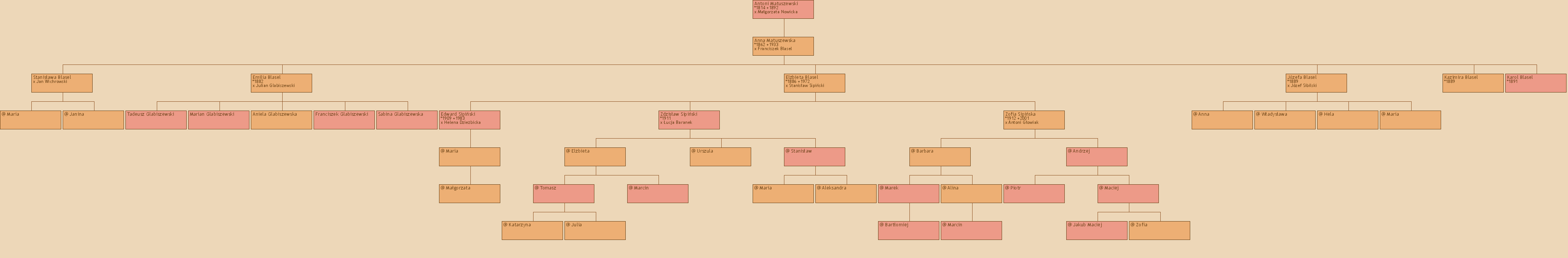 Drzewo genealogiczne - Antoni Matuszewski