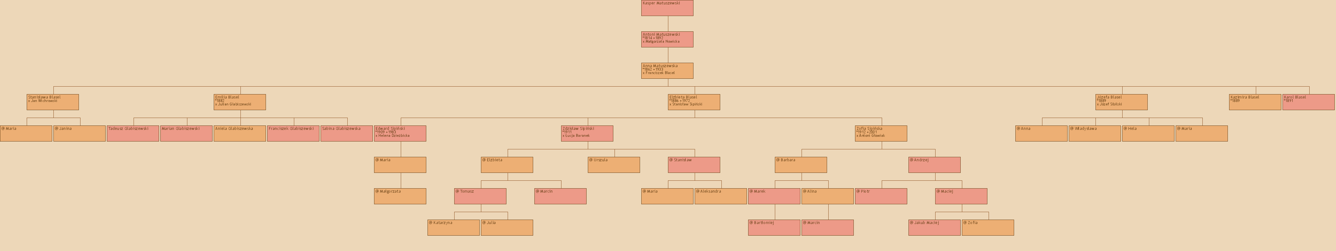 Drzewo genealogiczne - Kasper Matuszewski