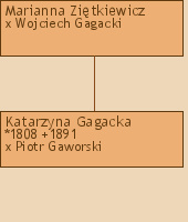 Drzewo genealogiczne - Marianna Zitkiewicz