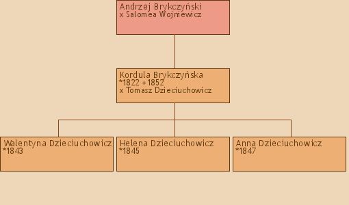 Drzewo genealogiczne - Andrzej Brykczyski