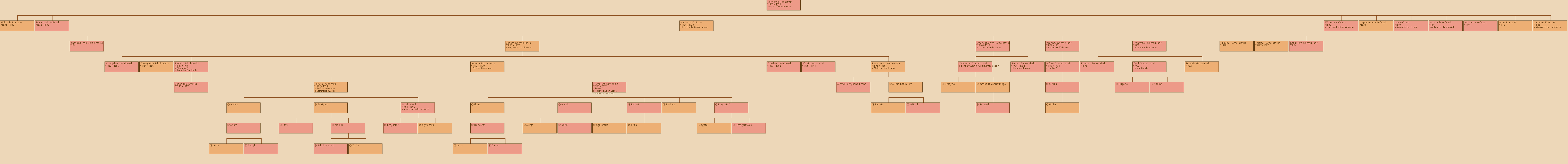 Drzewo genealogiczne - Bartomiej Koczak