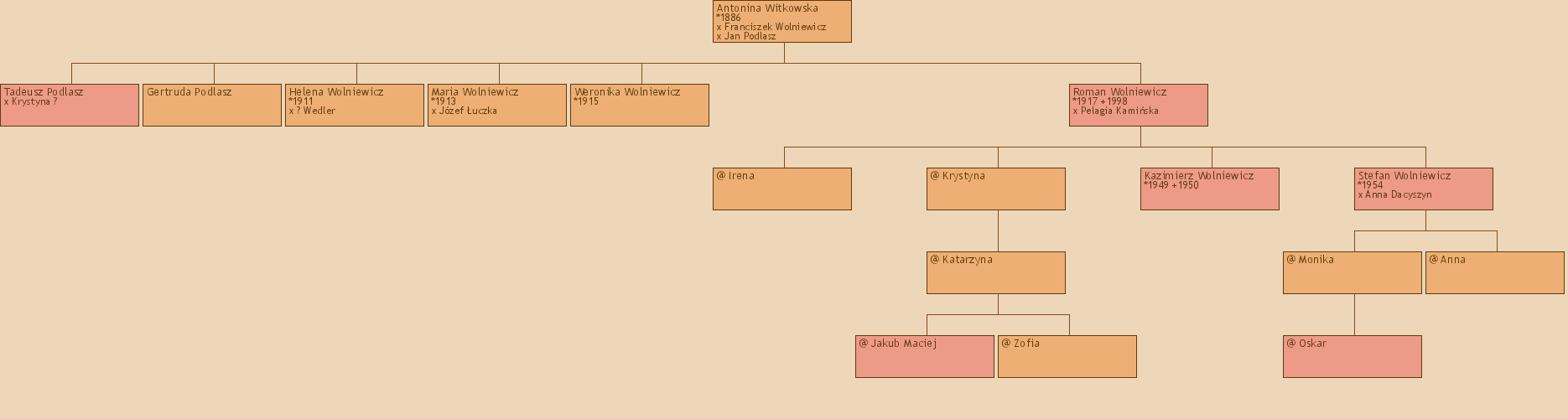 Drzewo genealogiczne - Antonina Witkowska