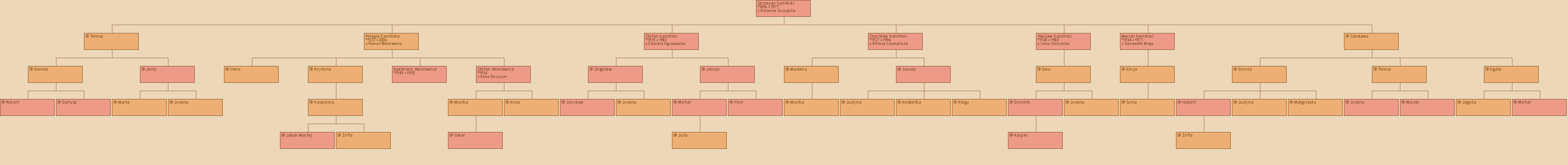 Drzewo genealogiczne - Szczepan Kamiski