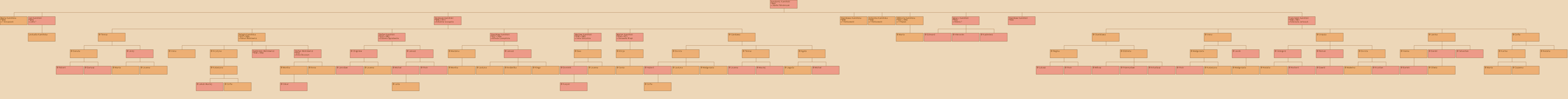 Drzewo genealogiczne - Konstanty Kamiski