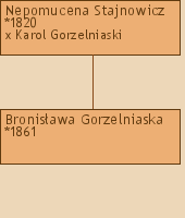 Drzewo genealogiczne - Nepomucena Stajnowicz