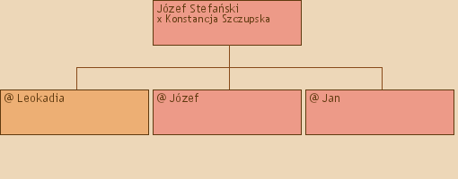 Drzewo genealogiczne - Jzef Stefaski