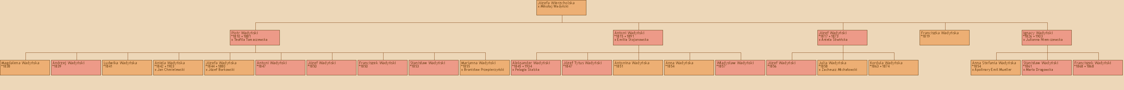 Drzewo genealogiczne - Jzefa Wierzcholska