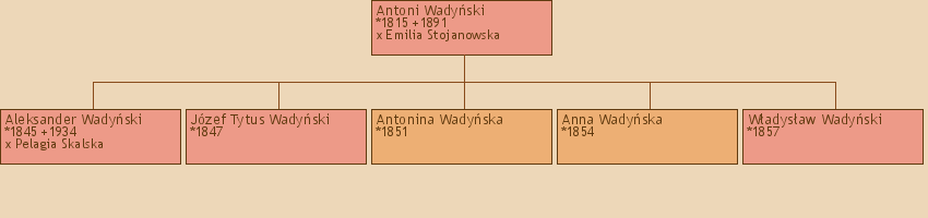 Drzewo genealogiczne - Antoni Wadyski