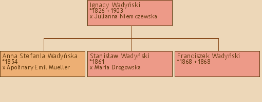 Drzewo genealogiczne - Ignacy Wadyski