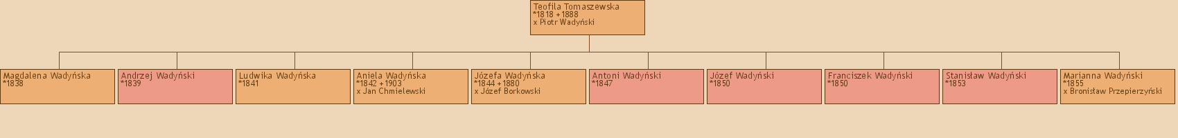 Drzewo genealogiczne - Teofila Tomaszewska