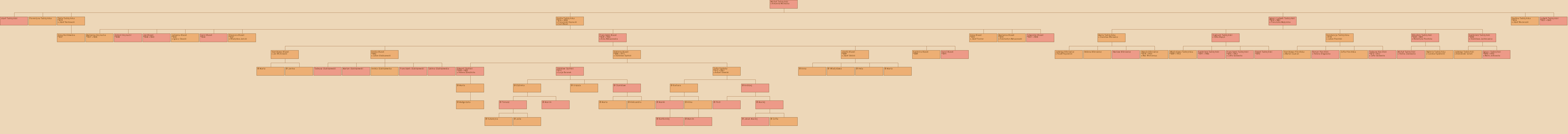 Drzewo genealogiczne - Micha Tadrzyski