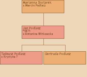 Drzewo genealogiczne - Marianna Skotarek