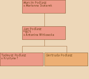 Drzewo genealogiczne - Marcin Podlasz