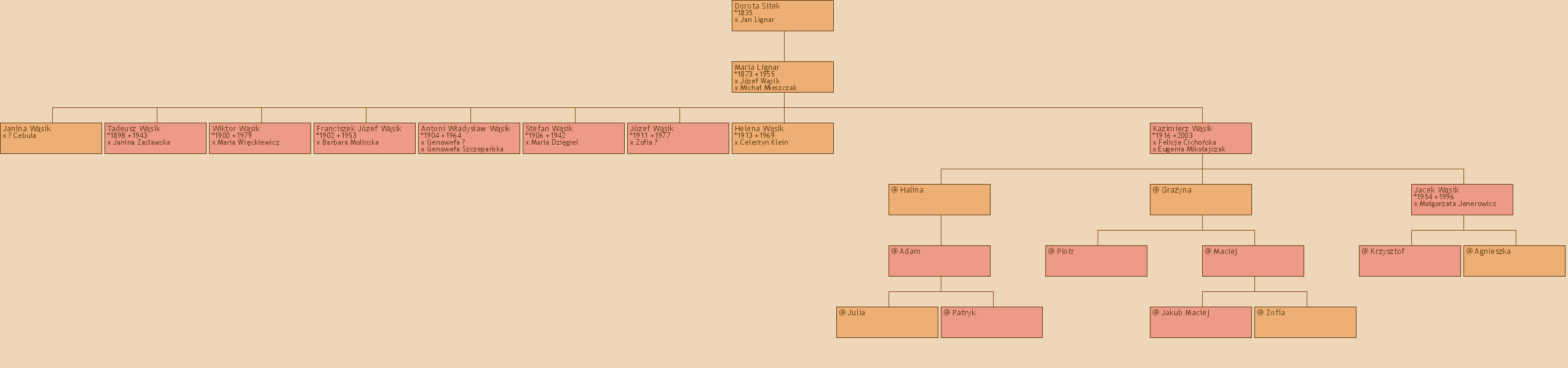 Drzewo genealogiczne - Dorota Sitek