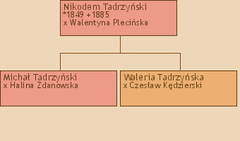Drzewo genealogiczne - Nikodem Tadrzyski