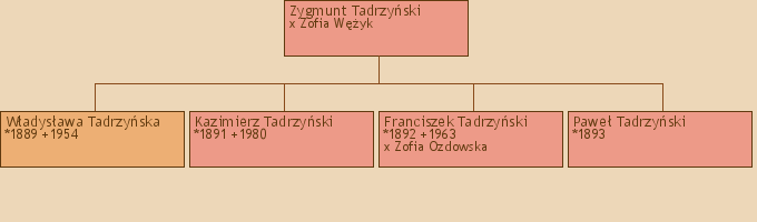 Drzewo genealogiczne - Zygmunt Tadrzyski
