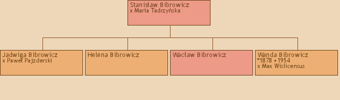 Drzewo genealogiczne - Stanisaw Bibrowicz