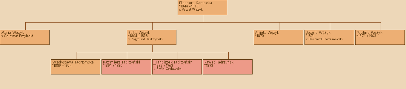 Drzewo genealogiczne - Eleonora Kamocka