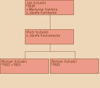 Drzewo genealogiczne - Jan Kolaski