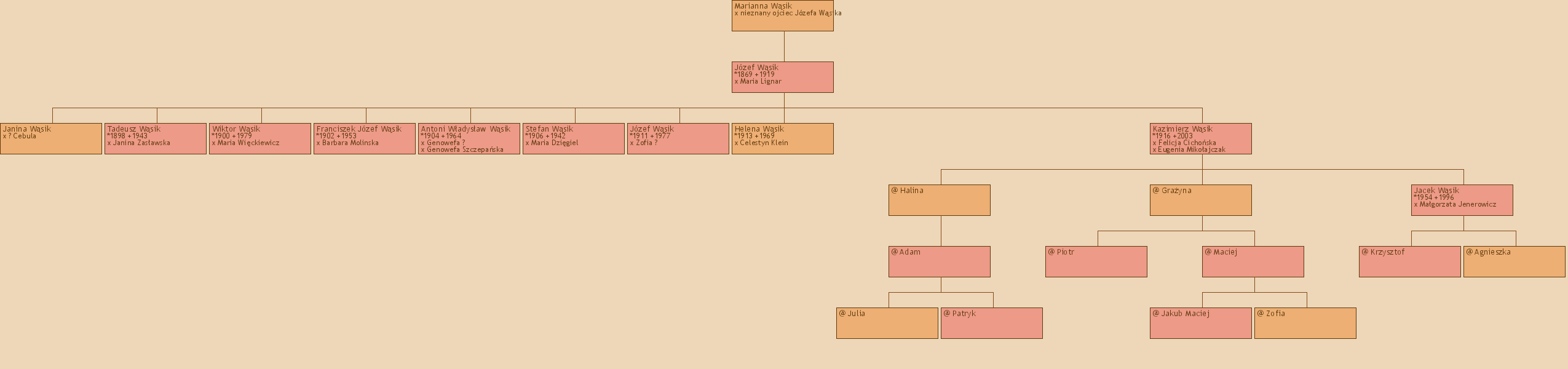 Drzewo genealogiczne - Marianna Wsik