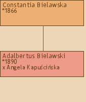Drzewo genealogiczne - Constantia Bielawska