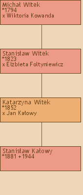 Drzewo genealogiczne - Micha Witek