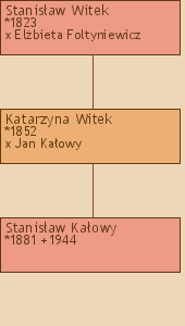 Drzewo genealogiczne - Stanisaw Witek