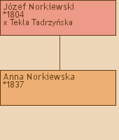 Drzewo genealogiczne - Jzef Norkiewski