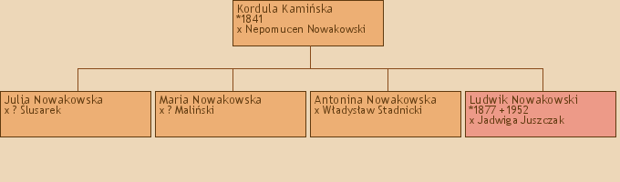 Drzewo genealogiczne - Kordula Kamiska