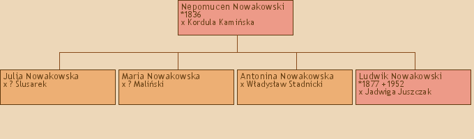 Drzewo genealogiczne - Nepomucen Nowakowski