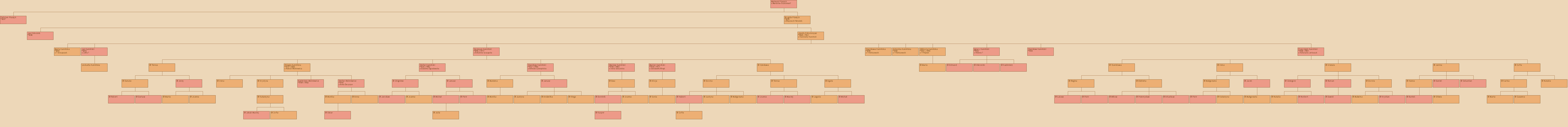 Drzewo genealogiczne - Mateusz Ptaszyk