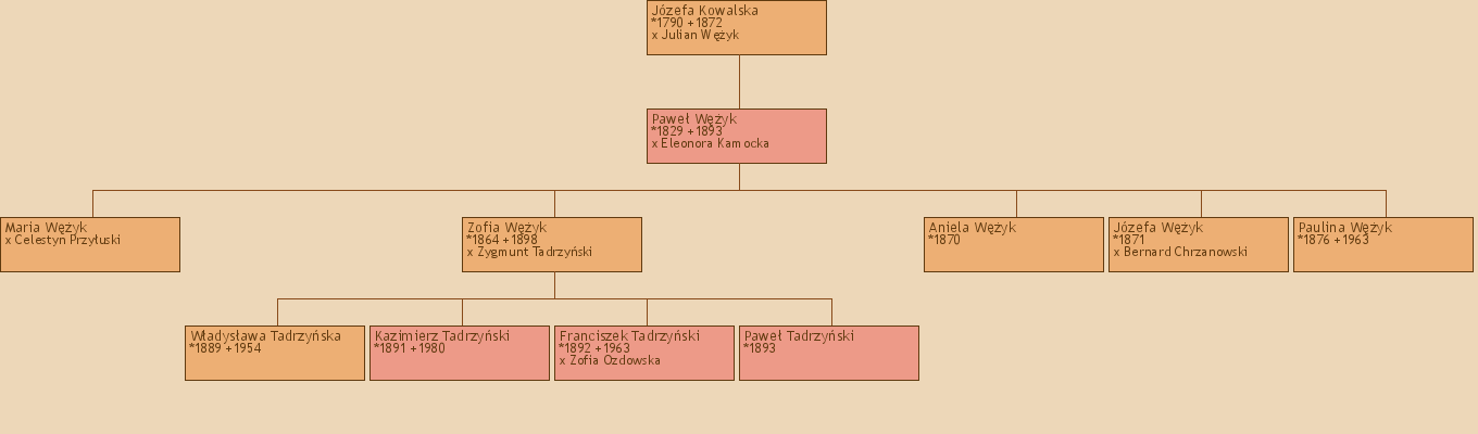 Drzewo genealogiczne - Jzefa Kowalska