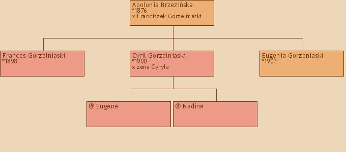 Drzewo genealogiczne - Apolonia Brzeziska