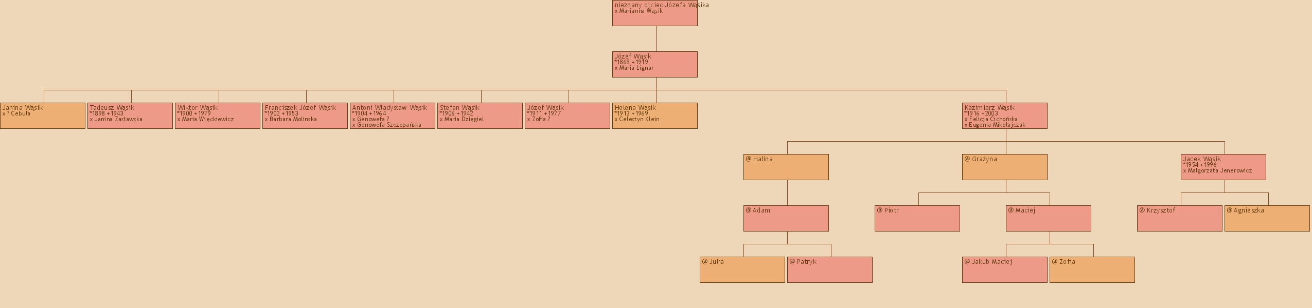 Drzewo genealogiczne - nieznany ojciec Jzefa Wsika