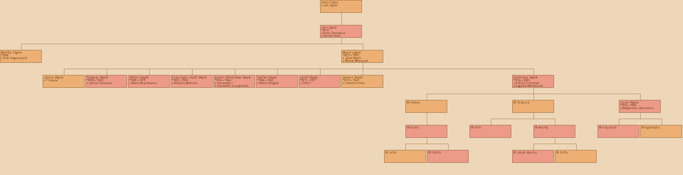 Drzewo genealogiczne - Anna Ziba