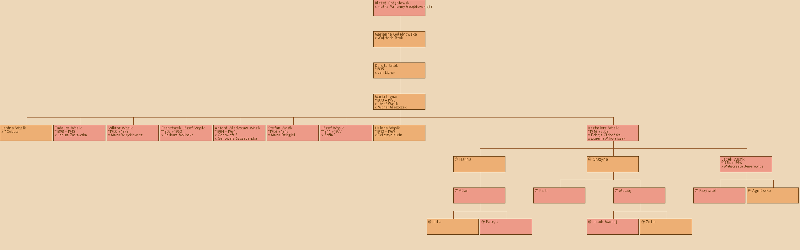 Drzewo genealogiczne - Baej Gobiowski