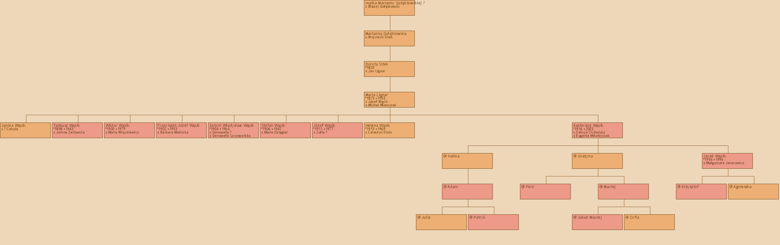 Drzewo genealogiczne - matka Marianny Gobiowskiej ?