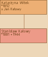 Drzewo genealogiczne - Katarzyna Witek