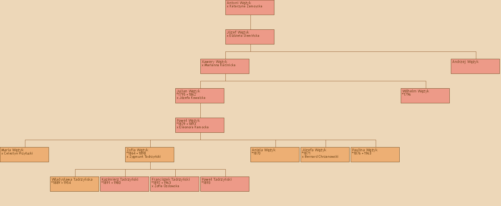 Drzewo genealogiczne - Antoni Wyk